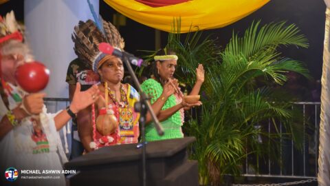 https://michaelashwinadhin.com/wp-content/uploads/2025/02/Dag-van-de-Revolutie-Suriname-25.02.2025-Michael-Ashwin-Adhin-89.jpg