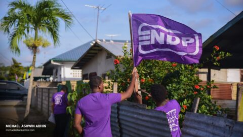 https://michaelashwinadhin.com/wp-content/uploads/2025/02/Veldwerk-Lelydorp-10.02.2025-Michael-Ashwin-Adhin-NDP-Suriname-20.jpg