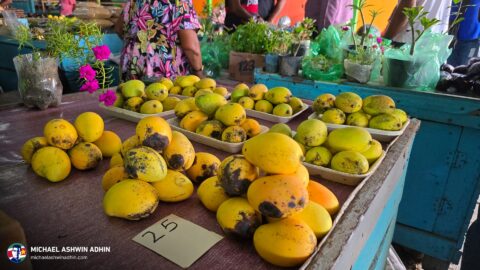 https://michaelashwinadhin.com/wp-content/uploads/2025/03/Bezoek-Markt-Nickerie-01-03-2025-Michael-Ashwin-Adhin-7.jpg