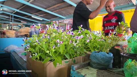 https://michaelashwinadhin.com/wp-content/uploads/2025/03/Bezoek-Markt-Nickerie-01-03-2025-Michael-Ashwin-Adhin-8.jpg